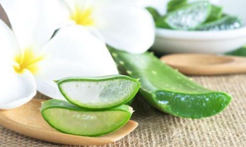 The Best Ways to Enjoy Fresh Aloe Vera:A Comprehensive Guide