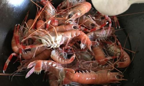 Preserving Fresh Lobster:A Comprehensive Guide