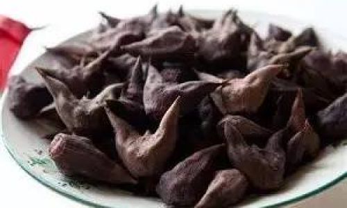 Preserving Fresh Water Caltrops:A Comprehensive Guide