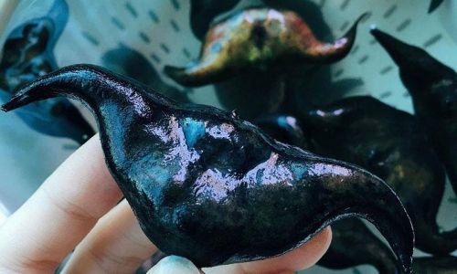 Preserving Fresh Water Caltrops:A Comprehensive Guide