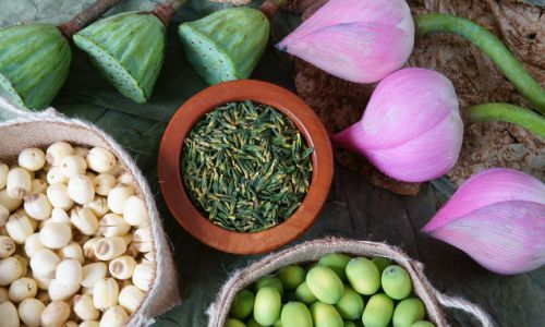 Discovering the Culinary Delights of Fresh Lotus Seeds:How to Enjoy Them to the Fullest