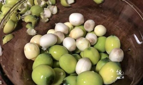 Discovering the Culinary Delights of Fresh Lotus Seeds:How to Enjoy Them to the Fullest