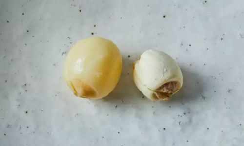 The Dilemma of Debating:Should Fresh Lotus Seeds Be Decored for Soup Making?