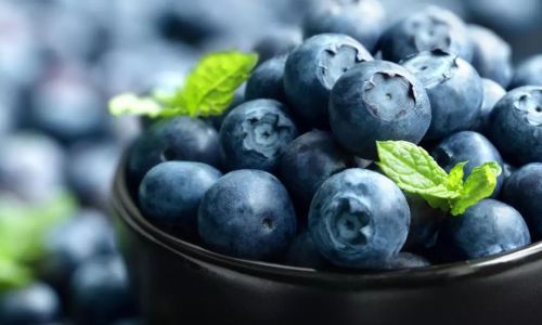 How to Effectively Preserve Fresh Blueberries in the Refrigerator