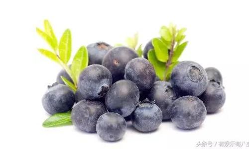 How to Effectively Preserve Fresh Blueberries in the Refrigerator