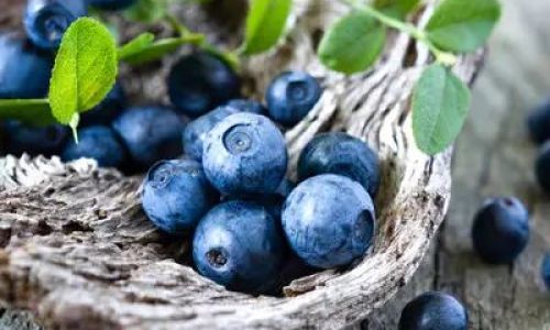 Discovering the Delights of Fresh Blueberries:How to Enjoy Them