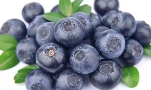 Discovering the Delights of Fresh Blueberries:How to Enjoy Them