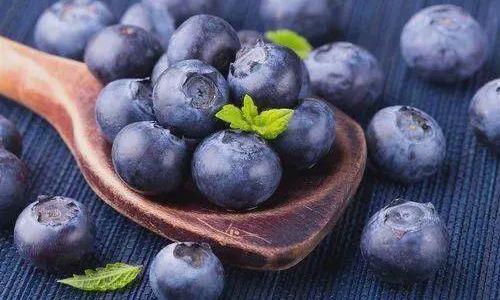 Drying and Preserving Fresh Blueberries:A Comprehensive Guide