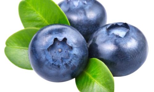Drying and Preserving Fresh Blueberries:A Comprehensive Guide
