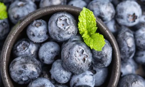 Drying and Preserving Fresh Blueberries:A Comprehensive Guide