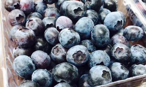 Drying and Preserving Fresh Blueberries:A Comprehensive Guide
