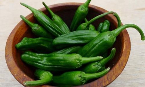 How to Preserve Fresh Chili Peppers for Longer Enjoyment