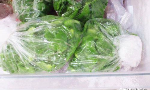 How to Preserve Fresh Chili Peppers for Longer Enjoyment