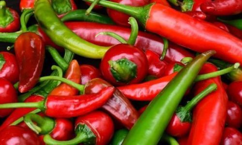 How to Preserve Fresh Chili Peppers to Keep Them from Spoiling