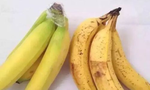 How to Preserve Fresh Chili Peppers to Keep Them from Spoiling