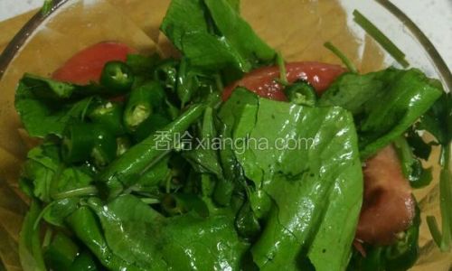 A Delightful Guide to Making Fresh Chili Salad