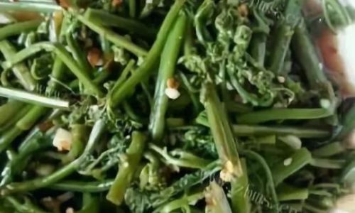 How to Cook Fresh Fern Bracken Deliciously and Simply