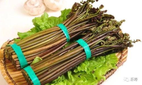 How to Cook Fresh Fern Bracken Deliciously and Simply