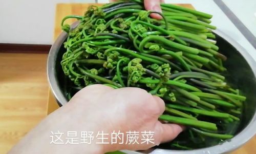 Crafting Culinary Delights with Fresh Fern Bracken:A Comprehensive Guide