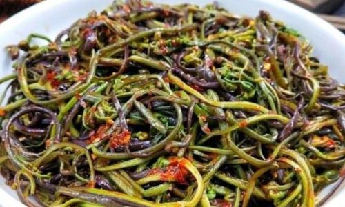 How to Prepare Delicious Pickled Fresh Fern Shoots