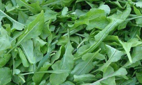 Exploring the Culinary Delights of Fresh Mustard Greens:How to Enjoy Them