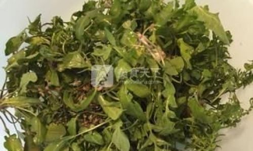 Exploring the Culinary Delights of Fresh Mustard Greens:How to Enjoy Them