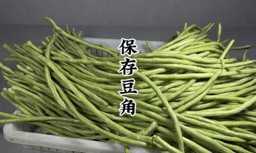Preserving Fresh Cowpeas:Effective Techniques to Keep Them Fresh and Delicious