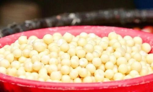 Discovering the Culinary Delights of Fresh Chicken-Head Millet:A Comprehensive Guide