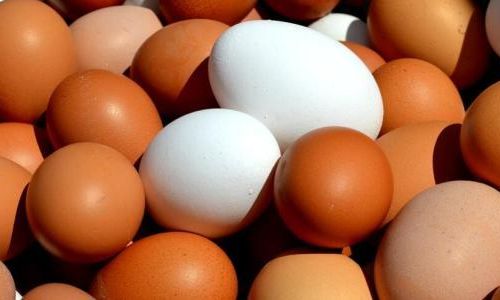 The Ideal Separation:Fresh Eggs and Their Incompatible Companion