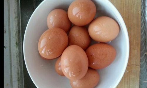 How to Boil Fresh Eggs Perfectly for a Delicious Taste