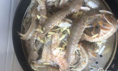 Preserving Fresh Live Crawfish:A Comprehensive Guide