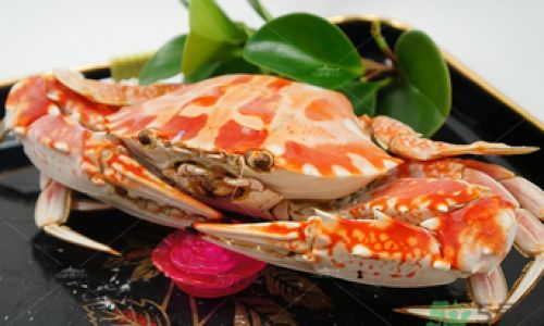 How Long Can Fresh Live Swimming Crabs Be Preserved?