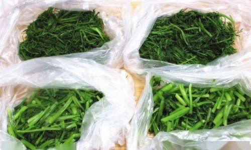 How to Preserve Fresh Fennel After Purchase