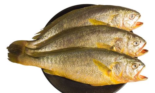 Preserving the Freshness of Yellow Croaker:Effective Techniques and Tips