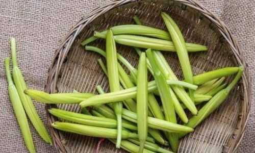 Fresh Dayflower Lily Buds:Handling Techniques and Culinary Delights
