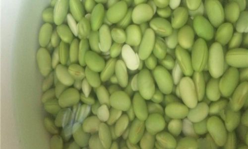 How to Cook Fresh Soybeans Deliciously