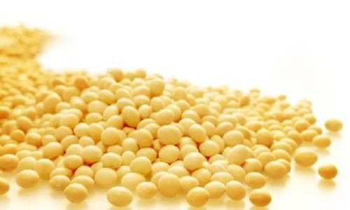 How Long Does It Take to Cook Fresh Soybeans?