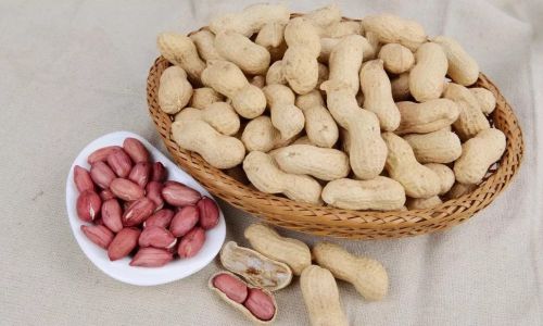 How Long Should Fresh Peanuts Be Boiled to Achieve the Perfect Cook?