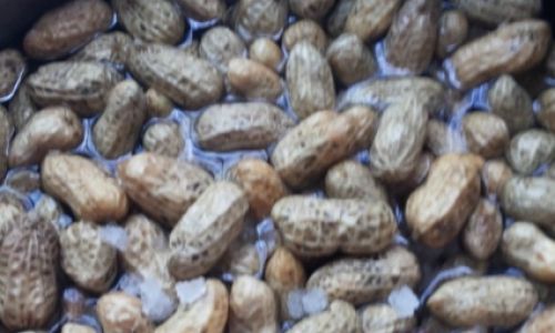How Long Should Fresh Peanuts Be Boiled to Achieve the Perfect Cook?