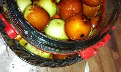 Preserving Fresh Red Dates:Effective Methods and Techniques