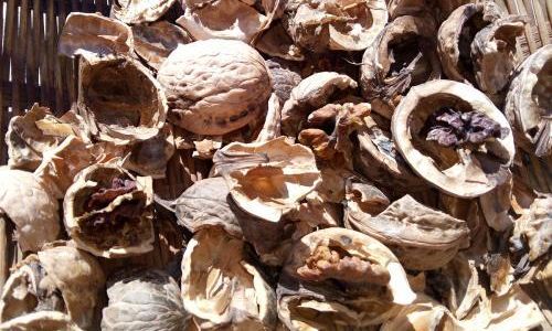How to Brew Fresh Walnut Water:A Comprehensive Guide