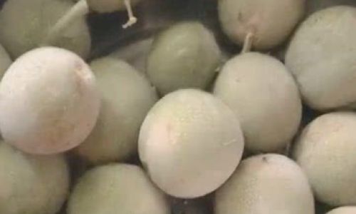 Can Fresh Walnuts Be Stored in the Refrigerator?