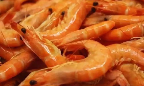 Discovering the Culinary Delights of Fresh River Shrimp:How to Enjoy Them to the Fullest