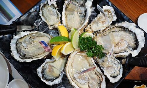 Can Fresh Oyster Meat Be Consumed After Being Refrigerated Overnight?