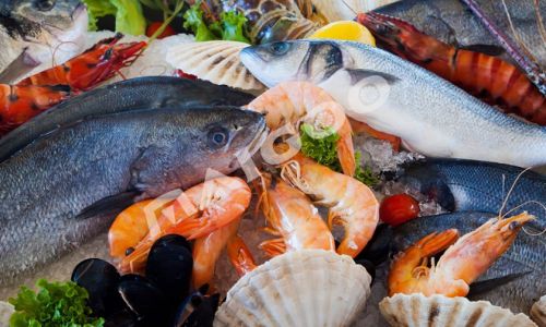 Preserving Fresh Seafood:Tips and Techniques for Optimal Freshness