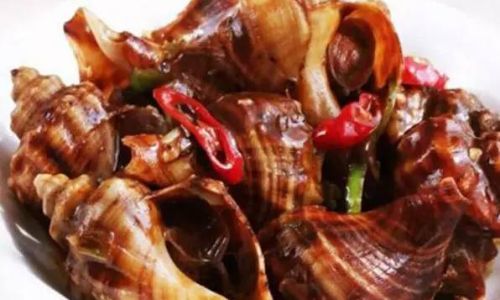 How to Preserve Fresh Conch by Freezing