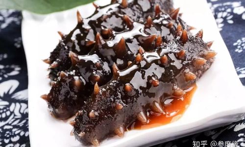 Cooking Fresh Sea Cucumbers:A Comprehensive Guide