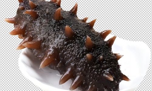 How to Cook Fresh Sea Cucumbers:A Delicious and Simple Stir-Fry Guide