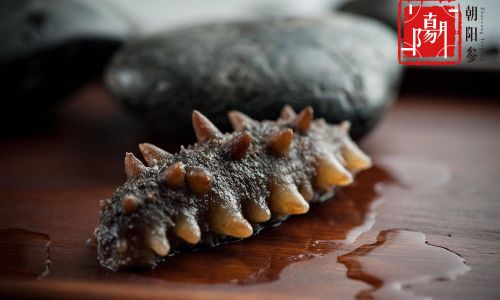 Can Fresh Sea Cucumbers Be Eaten Raw?An In-Depth Exploration
