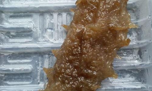 How Long Does It Take to Cook Fresh Sea Cucumbers?A Comprehensive Guide